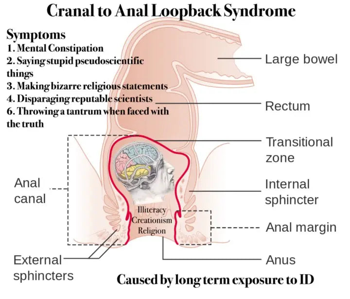 Christian Cranal to Anal Loopback Syndrome (CCALS)