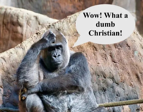 Mindless Christians Don't Understand Why They're the Problem